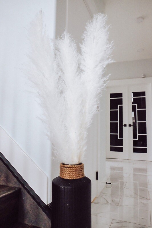 White XL Pampas