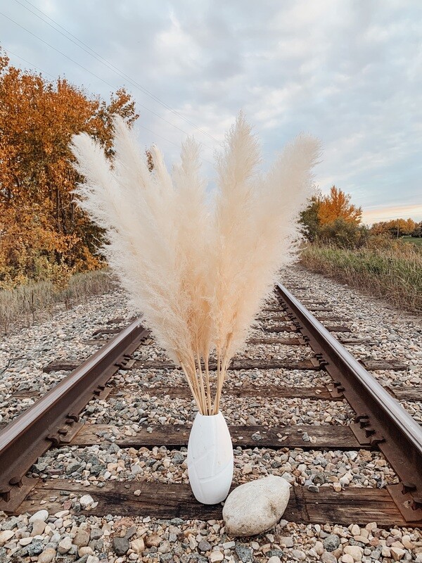 Beige XL Pampas