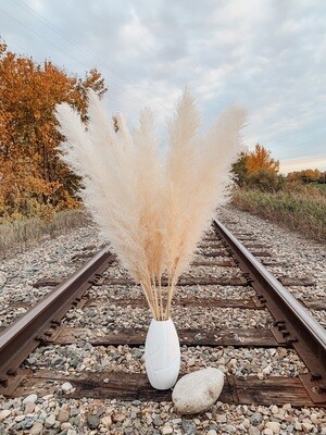 Pampas