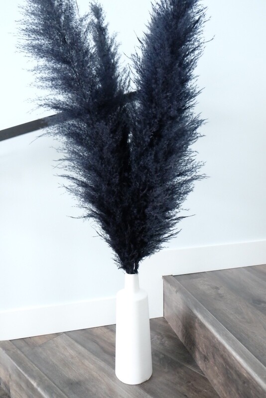 Black XL Pampas
