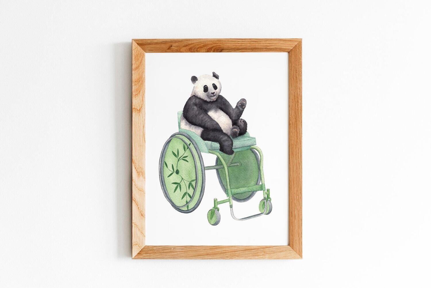 Panda í hjólastól