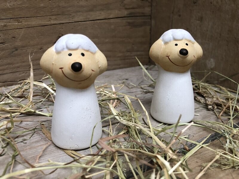Terracotta schaapjes