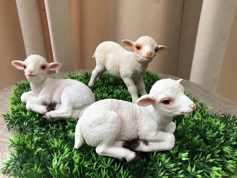 Set van drie lammetjes