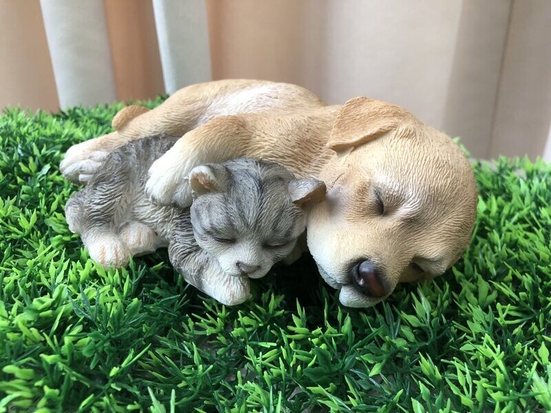 Puppy & Kitten love