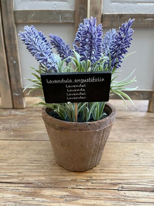Terracotta potje met kunst Lavendel