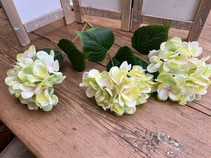 Hortensia bosje met drie bloemen