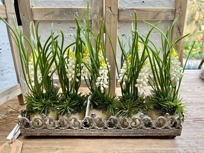 Witte druifjes arrangement