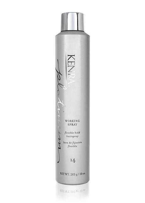 Kenra Platinum Working Spray 14