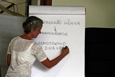 Workshop Menegatti