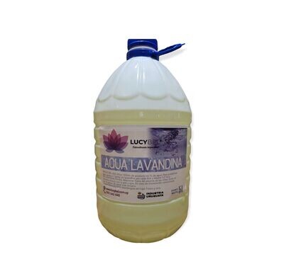 Lavandina 5Litros