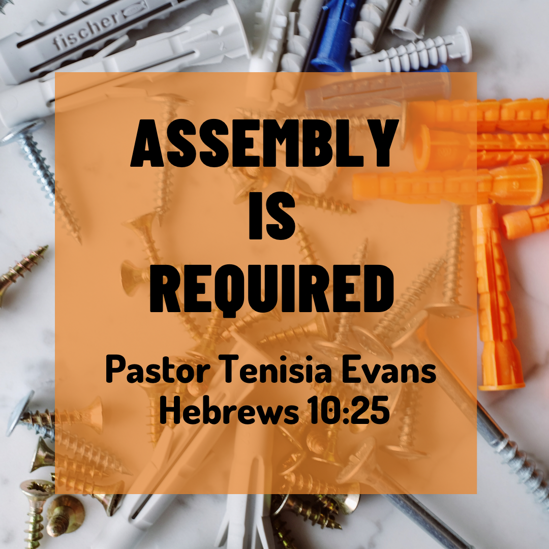 ASSEMBLY IS REQUIRED.            AUDIO