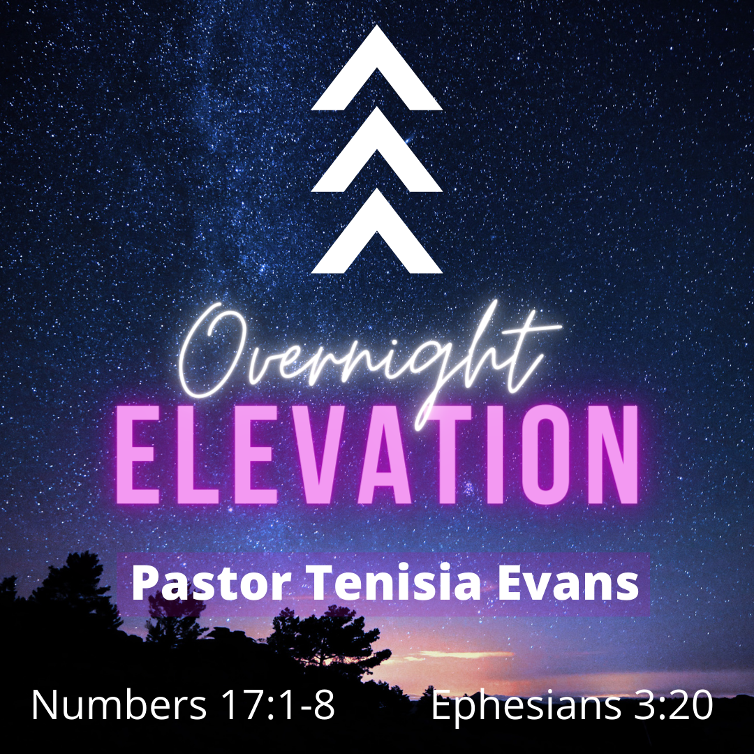 OVER NIGHT ELEVATION