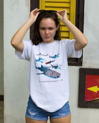Shark T-shirt L