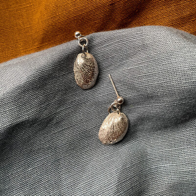 Petite paua earrings