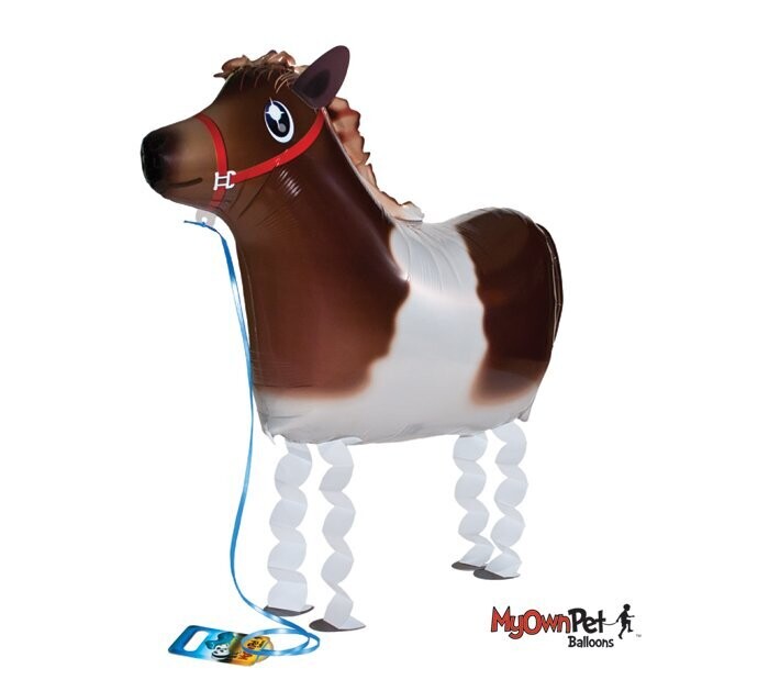 Pony