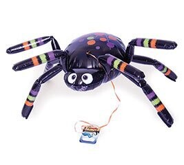 Spider