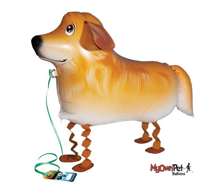 Golden Retriever Golden Retriever
