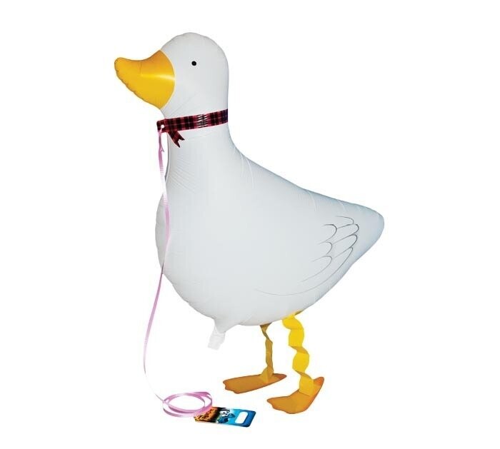 Duck Duck