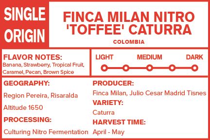 Colombia Finca Milan Culturing Nitro 'Toffee' Fermentation Caturra 2025