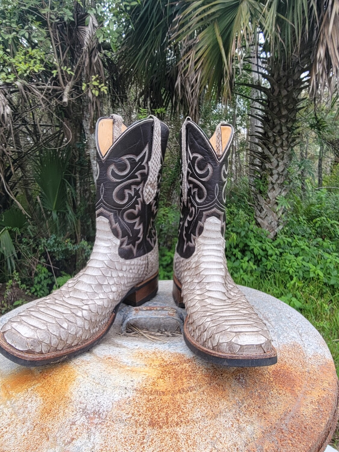 Python Square Toe Cowboys