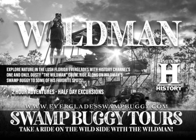 Python Wildman - The Defender of the Everglades | Savin' the Glades one ...