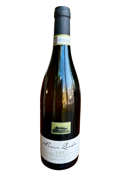 Gavi Nuovo Quadro DOCG 2023