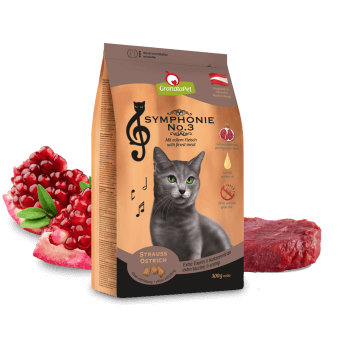 Symphonie Nr.3 Strauss 300g