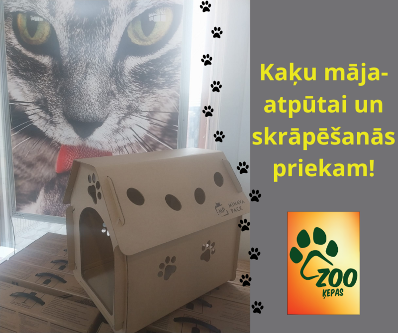Kaķu māja