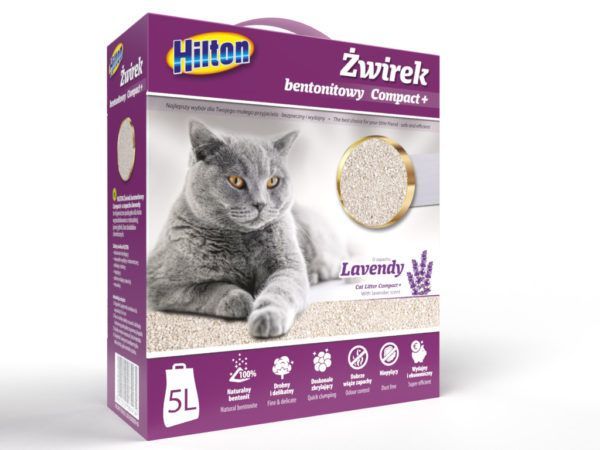 HILTON COMPACT+ LAVENDER LITTLE KAĶIEM