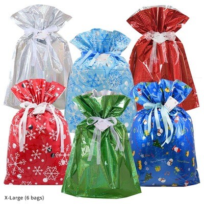 12-Piece X-Large Festive Dozen Gift Bag Set (6 Gift Bags &amp; 6 Gift Tags)