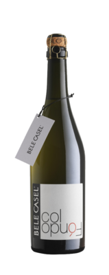 COLFONDO ASOLO Prosecco DOCG Frizzante 0,75 extra brut /ungefiltert
