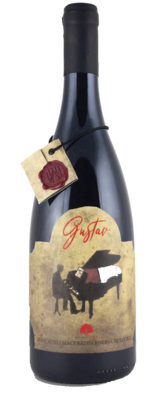 GUSTAV Colli Maceratesi rosso DOC Riserva 0,75 2017 BIO