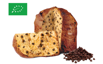 Panettone mit Schokostücken 750g BIO