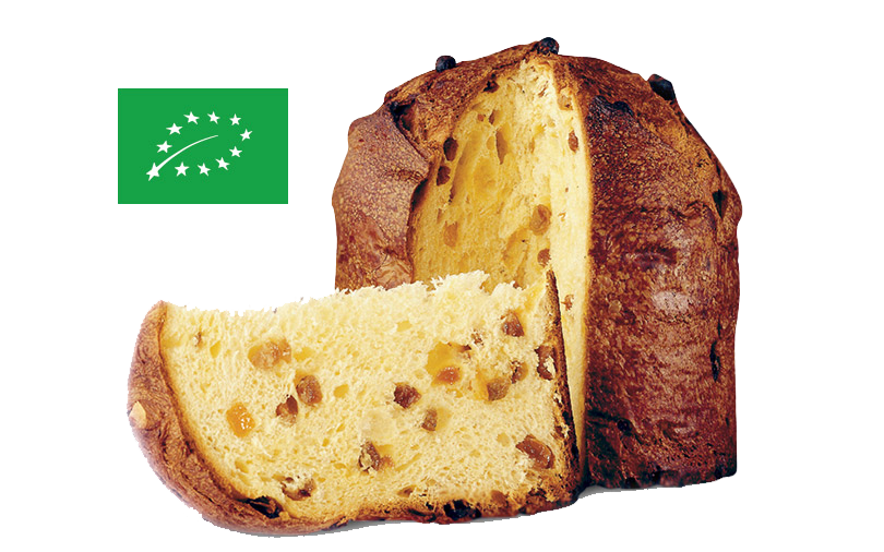 Panettone classic in Kartonverpackung 750g BIO