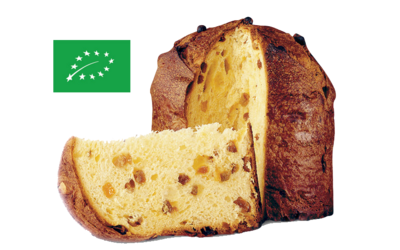 Panettone classic in Kartonverpackung 750g BIO