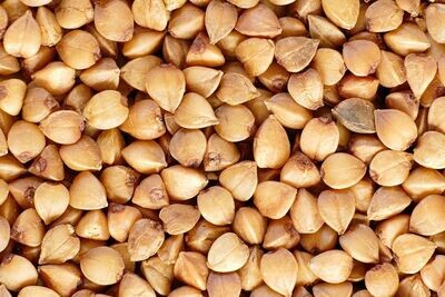 PASTA GLUTENFREI