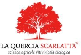 LA QUERCIA SCARLATTA
