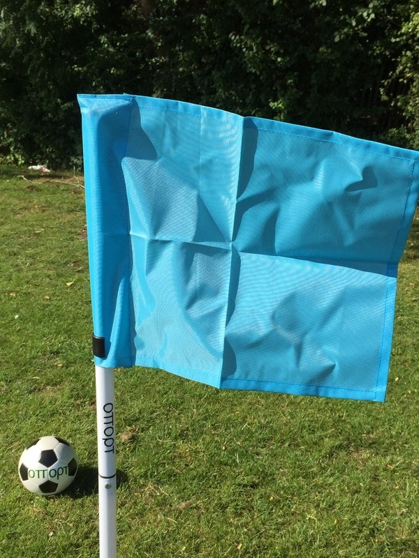 Sky Blue Flags