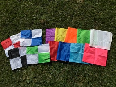Flag with clip only