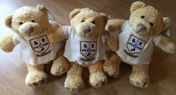 Limited Edition "Bear 11"