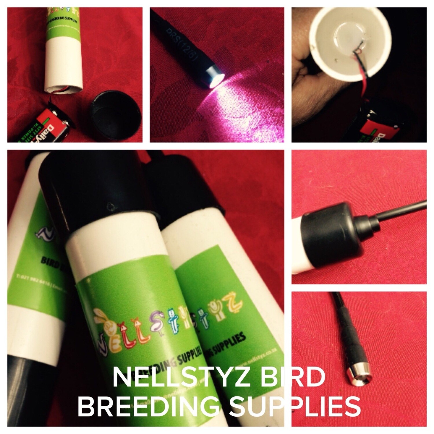 Egg Candling Light