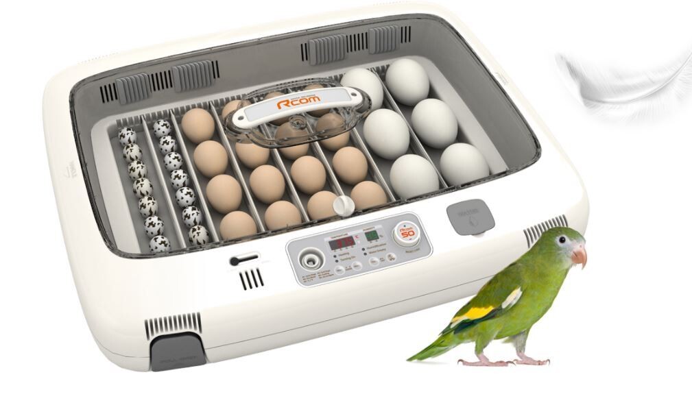 RCom 50 Max DO – Incubator