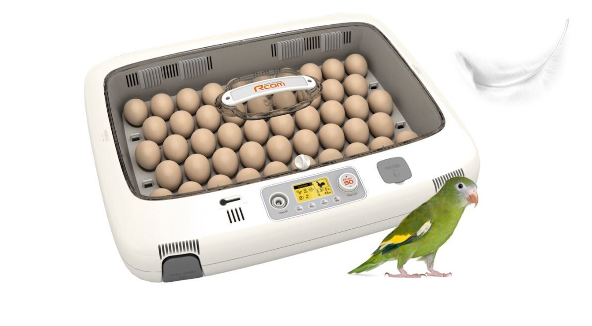 RCom 50 DO Pro – Incubator