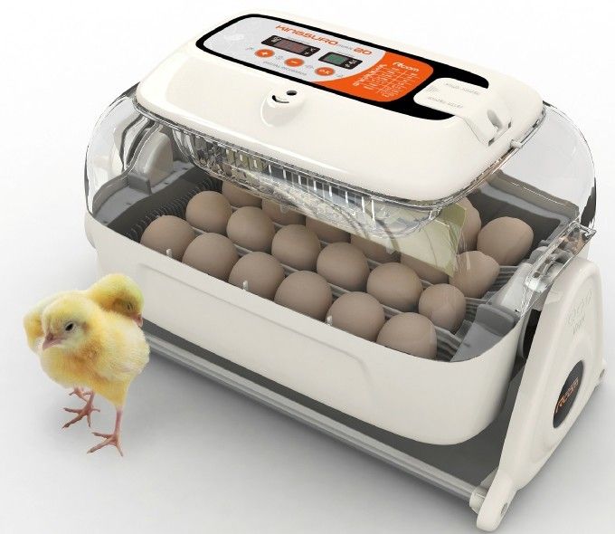 King Suro Brooder/Hatcher