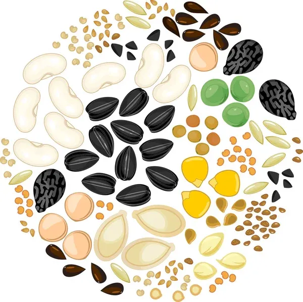 Seed