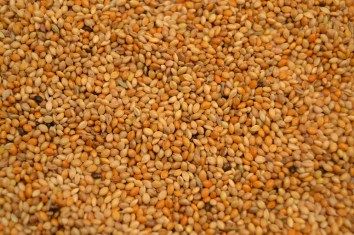 Red Manna 1kg