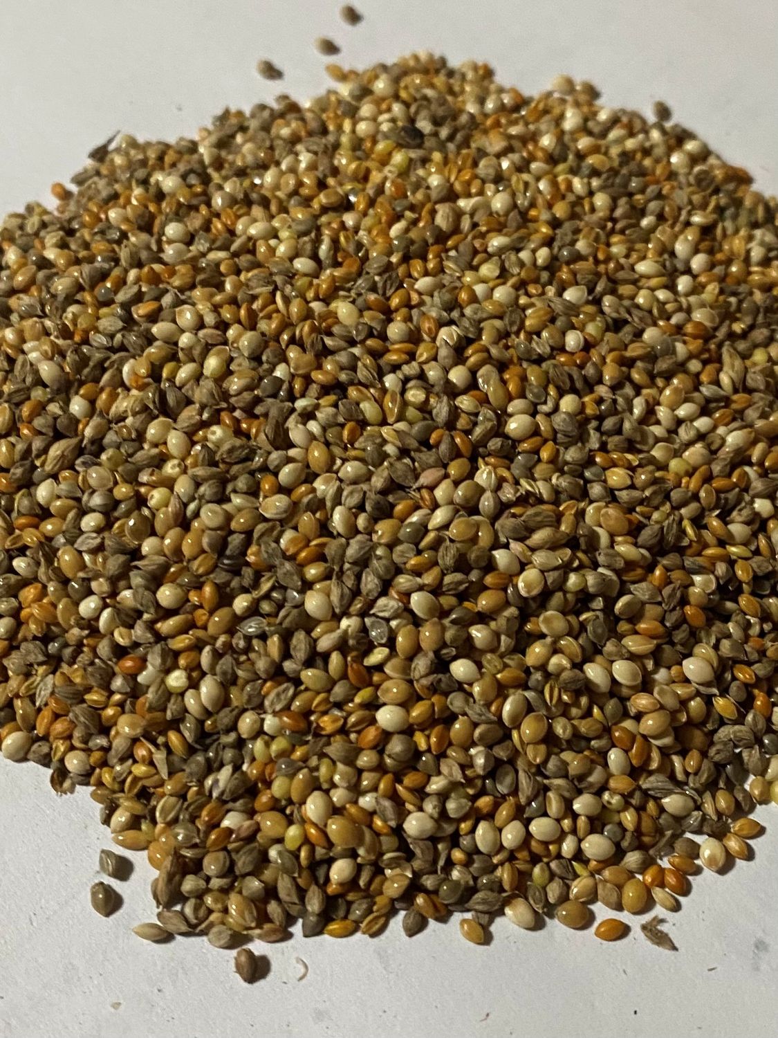 Finch Mix (White Millet/Jap Millet/Red Manna) 1kg