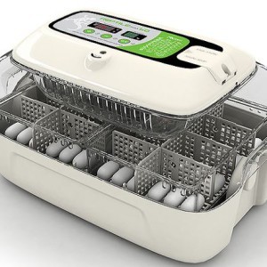 RCom Reptile Max 60 – Incubator