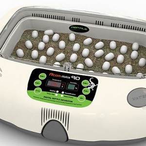 RCom Reptile Max 90 – Incubator