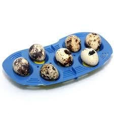 RCom Mini Quail Egg Tray